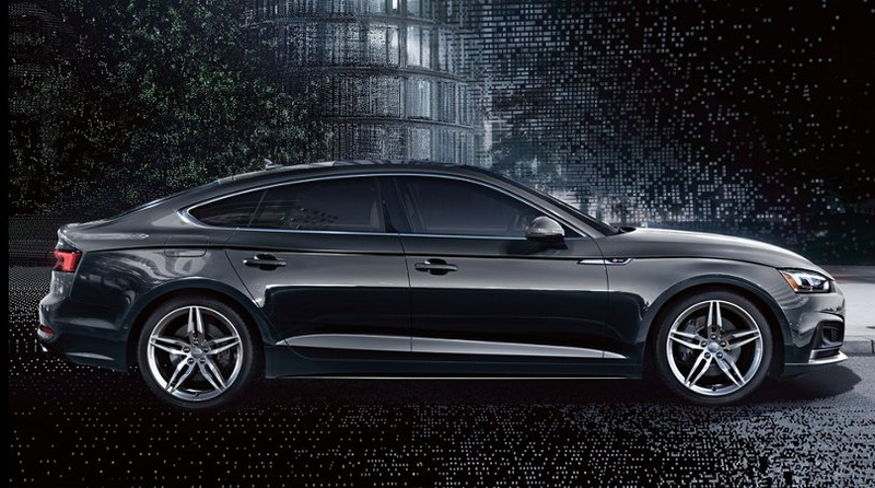 Illustration for article titled The VW Areton really has no options and is kinda CP